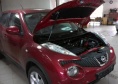   NISSAN Juke 2010-